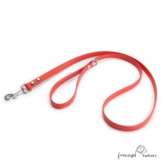 Correa Paseo Biothane Beta...