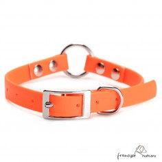 Collar Biothane Beta con...