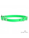 Collar Biothane Beta con Anilla Central Verde para perro