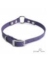 Collar Biothane Beta con Anilla Central Violeta para perro