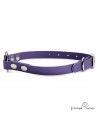 Collar Biothane Beta con Anilla Central Violeta para perro