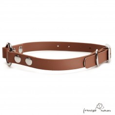 Collar Biothane Beta con... 2