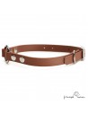 Collar Biothane Beta con Anilla Central Marrón para perro