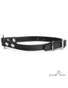 Collar Biothane Beta con Anilla Central Negro para perro