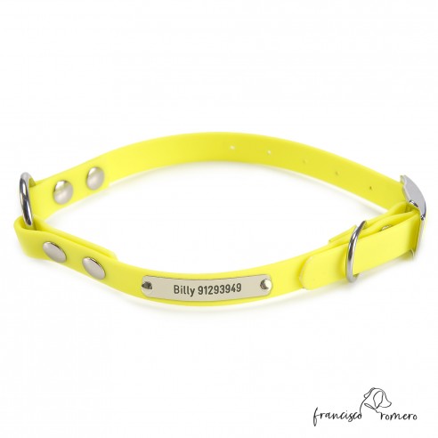 Collar Biothane Beta con Anilla...