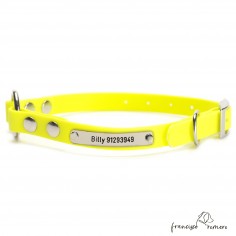 Collar Biothane Beta con...