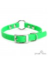 Collar Biothane Beta con Anilla Central Personalizado Verde para perro