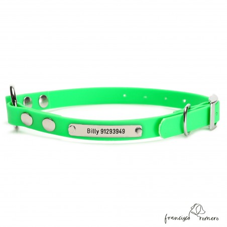 Collar Biothane Beta con Anilla Central Personalizado Verde