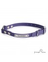 Collar Biothane Beta Anilla Central Personalizado Violeta para perro