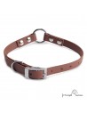 Collar Biothane Beta Anilla Central Personalizado Marrón para perro