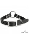 Collar Biothane Beta con Anilla Central Personalizado Negro para perro