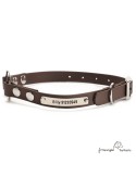Collar Biothane Beta Anilla Central Personalizado Chocolate para perro