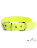 Collar Biothane Gold ancho 2,5 cm hebilla rulo Amarillo para perro