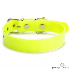 Collar Biothane Gold ancho... 2