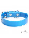 Collar Biothane Gold ancho cinta 2,5 cm hebilla rulo Azul para perro