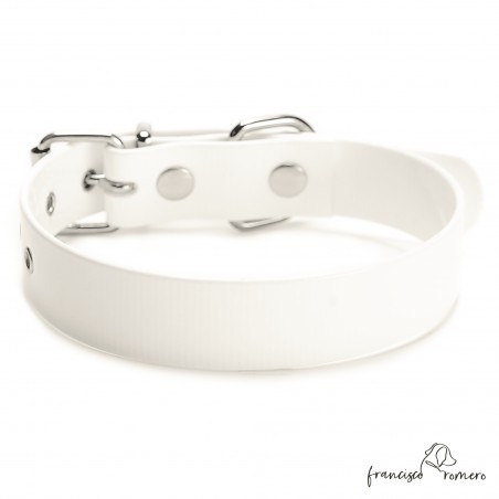 Collar Biothane Gold ancho cinta 2,5 cm hebilla rulo Blanco