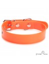 Collar Biothane Gold ancho 2,5 cm hebilla rulo Naranja para perro
