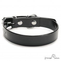 Collar Biothane Gold ancho... 2