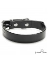 Collar Biothane Gold ancho cinta 2,5 cm hebilla rulo Negro para perro