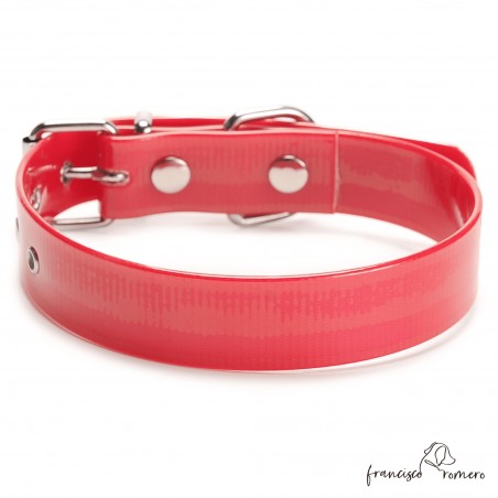 Collar Biothane Gold ancho cinta 2,5 cm hebilla rulo Rojo