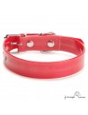 Collar Biothane Gold ancho cinta 2,5 cm hebilla rulo Rojo para perro