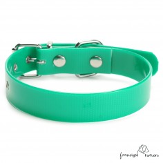 Collar Biothane Gold ancho... 2