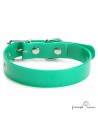 Collar Biothane Gold ancho cinta 2,5 cm hebilla rulo Verde para perro