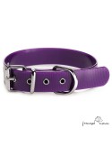 Collar Biothane Gold ancho 2,5 cm hebilla rulo Violeta para perro