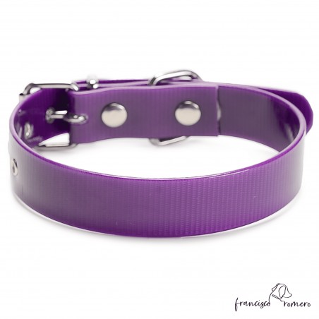 Collar Biothane Gold ancho cinta 2,5 cm hebilla rulo Violeta
