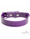 Collar Biothane Gold ancho 2,5 cm hebilla rulo Violeta para perro