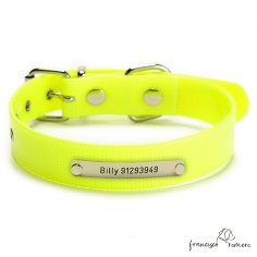 Collar Biothane Gold ancho...