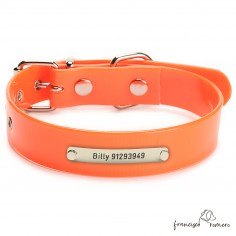 Collar Biothane Gold ancho...