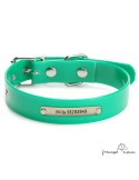 Collar Biothane Gold  2,5 cm rulo Personalizado Verde para perro