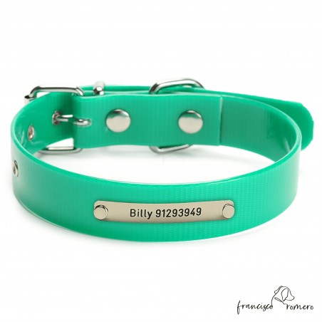 Collar Biothane Gold ancho cinta 2,5 cm hebilla rulo Personalizado Verde