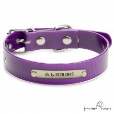 Collar Biothane Gold ancho...