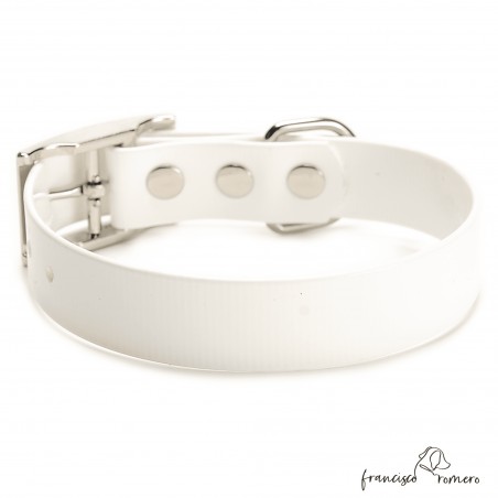 Collar Biothane Gold ancho cinta 2,5 cm hebilla alemana Blanco
