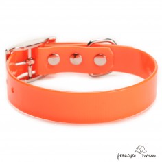 Collar Biothane Gold ancho... 2