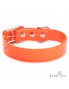 Collar Biothane Gold ancho 2,5 cm hebilla alemana Naranja para perro