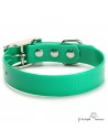 Collar Biothane Gold ancho 2,5 cm hebilla alemana Verde para perro