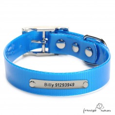 Collar Biothane Gold ancho...