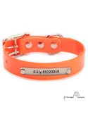Collar Biothane Gold ancho 2,5 cm hebilla alemana Naranja para perro