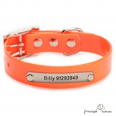 Collar Biothane Gold ancho...