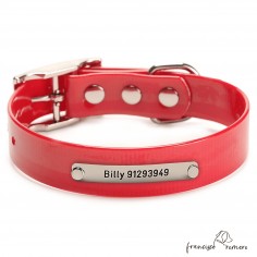 Collar Biothane Gold ancho...