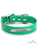 Collar Biothane Gold ancho 2,5 cm hebilla alemana verde para perro