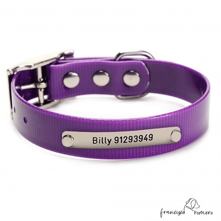 Collar Biothane Gold ancho 2,5 cm hebilla alemana Personalizado Violeta
