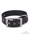 Collar Biothane Beta ancho cinta 2,5 cm Negro para perro
