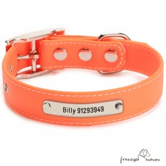 Biothane Beta ancho cinta 2,5 cm con costura Personalizado Naranja