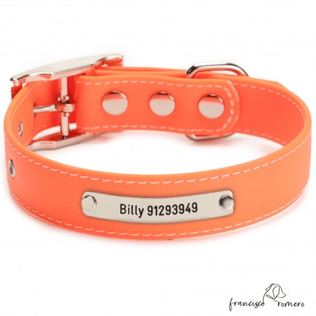 Biothane Beta ancho cinta 2,5 cm con costura Personalizado Naranja