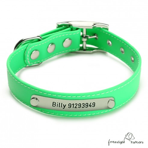 Collar Biothane Beta ancho cinta 2,5 cm con costura Personalizado verde 1.1