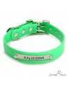 Collar Biothane Beta ancho cinta 2,5 cm con costura Personalizado verde 1.1